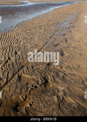 Vista delle piste ciclabili e il pattino di stampe su terreni fangosi beach a bassa marea Foto Stock