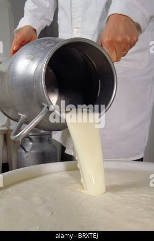 Il latte per produrre NEUFCHATEL EN BRAY FORMAGGIO, SEINE-MARITIME (76), Francia Foto Stock