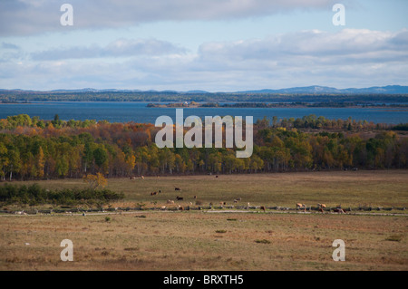 Affacciato sulla baia di Manitowaning da Manitoulin Island Foto Stock