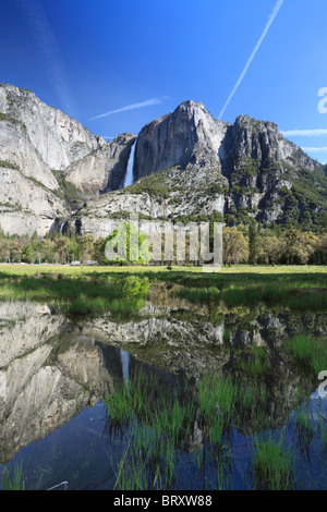 La riflessione di Yosemite Falls in un invaso prato primavera Foto Stock