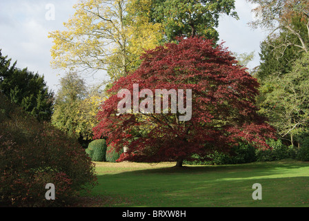 Colori d'Autunno Gli alberi del giardino svizzera, Shuttleworth station wagon, Old Warden, Bedfordshire, Regno Unito Foto Stock