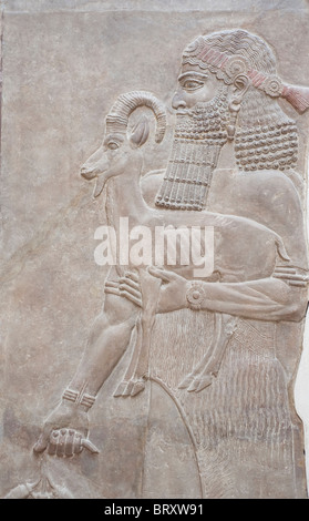 Persona in possesso di un IBEX. Bassorilievo dalla parete del re Sargon II Palace a Dur Sharrukin in Assiria,(ora Khorsabad in Iraq), Foto Stock