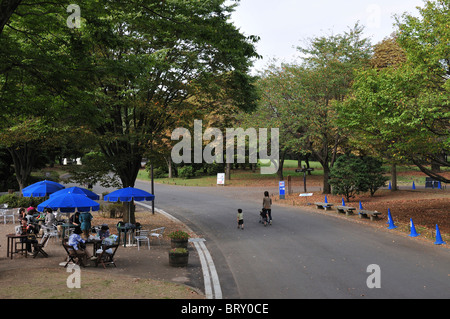 Showa Memorial Park ( Showa Commemorative Governo Nazionale Parco) Prefettura di Tokyo Honshu Giappone Foto Stock