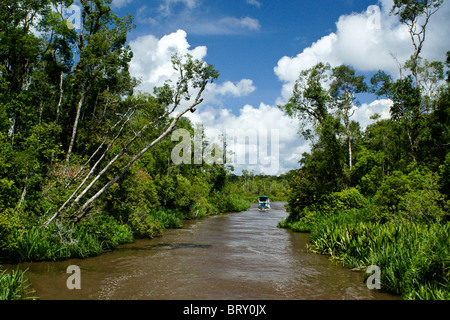 Klotok sul fiume Sekonyer, Borneo, Indonesia Foto Stock
