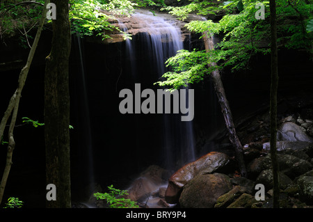 Grande alloro cade a cascata cade vergine Pocket Wilderness Area Tennessee Foto Stock