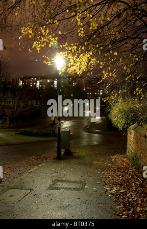Un wet vittoriano o Edwardian strada di notte illuminata da lampade a gas in autunno Foto Stock