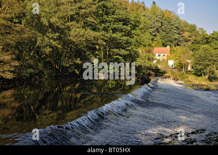 Scotton Lino mulino incastonato nel NIdd Gorge, nello Yorkshire, Inghilterra Foto Stock