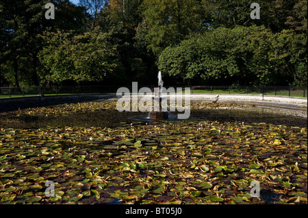 Il laghetto di gigli e fontana in Haigh Country Park, Wigan Foto Stock