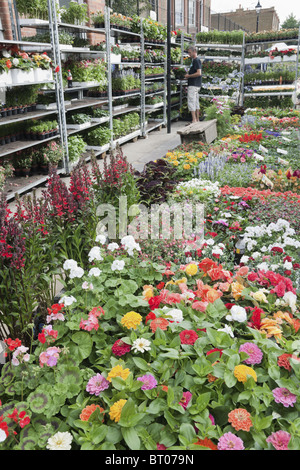 Londra, Regno Unito. Stallo a Columbia Road flower market Foto Stock