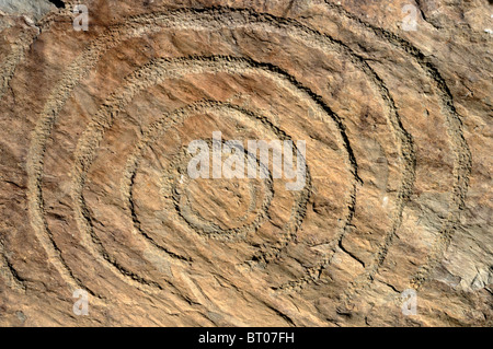 Knowth neolitico tomba di passaggio nella contea di Meath, Irlanda sito patrimonio mondiale tesoro archeologico cordolo stone carving dettaglio Foto Stock