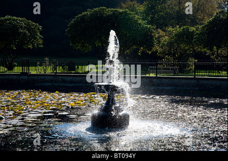 Il laghetto di gigli e fontana in Haigh Country Park, Wigan Foto Stock