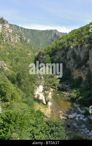 Vista del fiume della valle del Tarn (Gorges du Tarn) tra il villaggio di La Malène & Les Vignes - Linguadoca Rossiglione - Francia Foto Stock