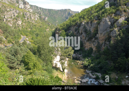 Vista del fiume della valle del Tarn (Gorges du Tarn) tra il villaggio di La Malène & Les Vignes - Linguadoca Rossiglione - Francia Foto Stock