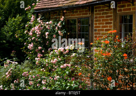 Le Rose in giardino intorno al vecchio cottage Inglese finestra Foto Stock