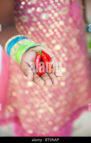 Indian ragazza con peperoncino rosso in mani a tazza Foto Stock