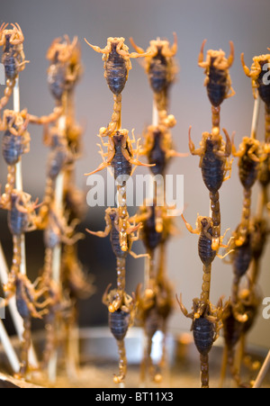 Cucinato scorpioni in vendita presso la Donghuamen Night Market Pechino CINA Foto Stock