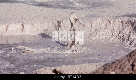 Lo scoppio della bolla di fango, Fontana Paint Pots, il Parco Nazionale di Yellowstone, STATI UNITI D'AMERICA Foto Stock