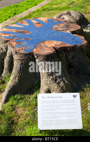 La Storia Struttura ad albero Danby Mori Centro Nord Yorkshire Inghilterra Foto Stock