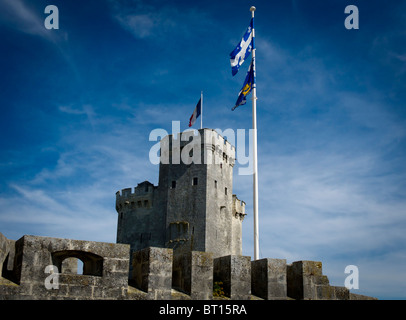 Gli antichi merli e la Torre di San Nicola all'entrata del porto di La Rochelle in Francia Foto Stock