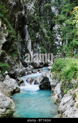 Tolminka Gorge, il Parco Nazionale del Triglav, sulle Alpi Giulie, Slovenia, Settembre 2010 Foto Stock