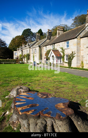 La storia di albero e Danby Mori Centro Nord Yorkshire Inghilterra Foto Stock