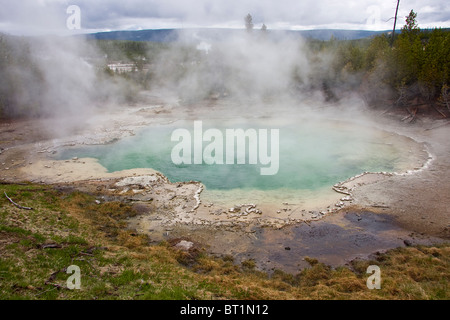 Molla di smeraldo, Norris Geyser Basin, il Parco Nazionale di Yellowstone, STATI UNITI D'AMERICA Foto Stock