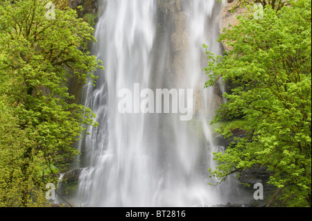 Silver Falls, Mellicoma River, Coos County, Oregon, può Foto Stock