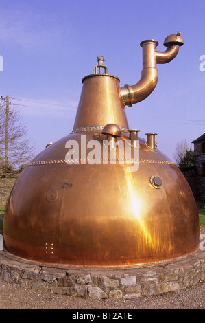 Distilleria nella natura Foto Stock