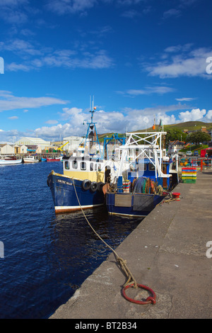 Barche da pesca a Girvan Harbour, South Ayrshire, in Scozia Foto Stock