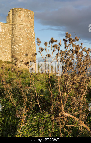 Il castello di Hume - ripristino vecchio hill top fortificazione base ancestrale del Clan Home Foto Stock