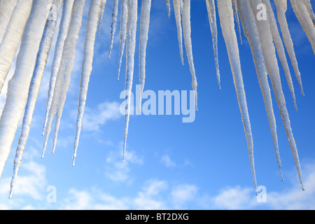 Ghiaccioli appesi contro un cielo blu Foto Stock