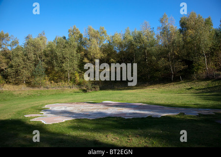 Mappa geologica della scultura in set di aprire spazio erboso Foresta di Dean Gloucestershire England Regno Unito Foto Stock