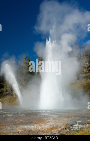 Grand Geyser erutta presso il Parco Nazionale di Yellowstone Foto Stock