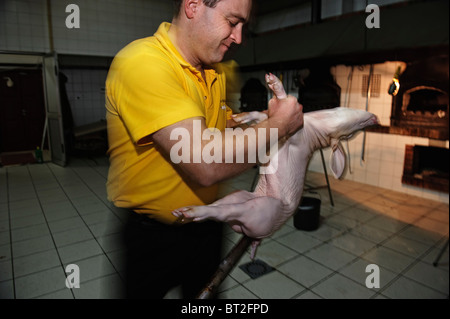 L uomo si prepara un maialino per cucinare in Portoghese tradizionale regione di Bairrada modo inserendolo in uno spiedo e nel forno, Mealhada, Portogallo Foto Stock