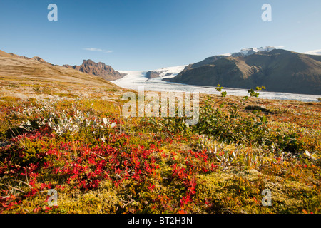 Skaftafellsjokull nel Skaftafell National Park, questo ghiacciaio come tutti i'Islanda i ghiacciai sfuggente è dovuta al cambiamento climatico Foto Stock