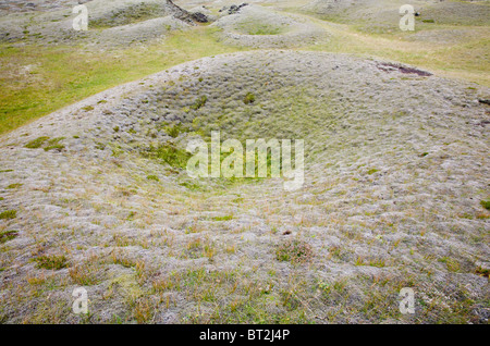 A Pseudocraters Kirkjubaejarklauster, formata dalla lava che erutta su una superficie bagnata causando esplosioni di vapore, Islanda. Foto Stock