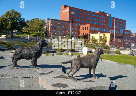 Canada, Terranova, San Giovanni. Waterfront 'Harbourside Park". Statue in bronzo di cani. Foto Stock