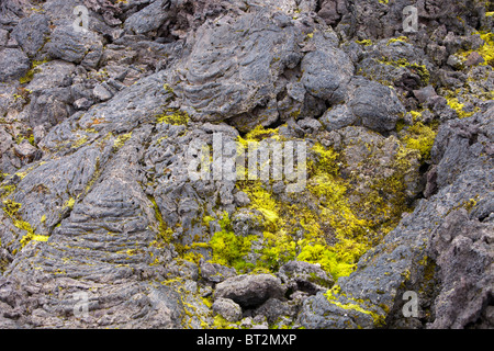 Un nuovo flusso di lava che ha eruttato durante il Krafla incendi presso Leirhnjukur vicino a Myvatn, Islanda durante gli anni settanta e ottanta. Foto Stock