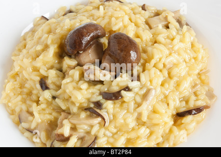 Dettaglio piatto di risotto con funghi piatto Foto Stock