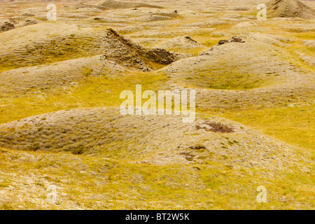 A Pseudocraters Kirkjubaejarklauster, formata dalla lava che erutta su una superficie bagnata causando esplosioni di vapore, Islanda. Foto Stock