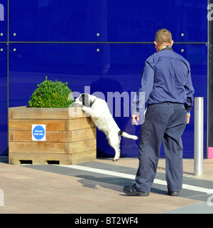 Sniffer cane controllare gli eventi principali venue in London Foto Stock