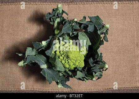 Romanesco romano di cavolfiore Foto Stock