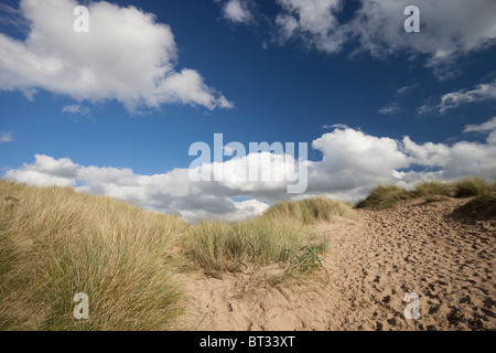 Il Ainsdale Sandhills natura locale riserva adiacente alla spiaggia di Ainsdale, a sud di Southport, Regno Unito. Il sito è anche un: SSSI, SAC e sito Ramsar. Foto Stock