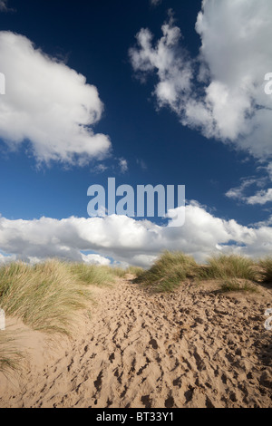 Il Ainsdale Sandhills natura locale riserva adiacente alla spiaggia di Ainsdale, a sud di Southport, Regno Unito. Il sito è anche un: SSSI, SAC e sito Ramsar. Foto Stock