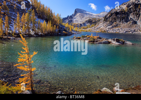 I larici alla perfezione il lago nell'Incanto Lakes Wilderness nello stato di Washington, USA Foto Stock