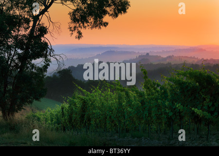 Il paesaggio toscano che circonda San Gimignano, Italia presso sunrise Foto Stock