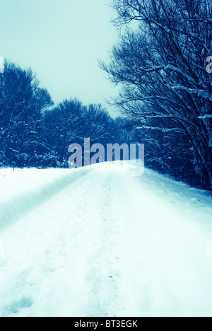 Strada fiancheggiata da alberi coperti di neve Foto Stock