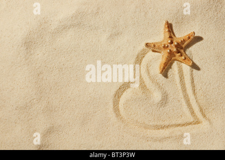 heart on sand on sea beach Foto Stock