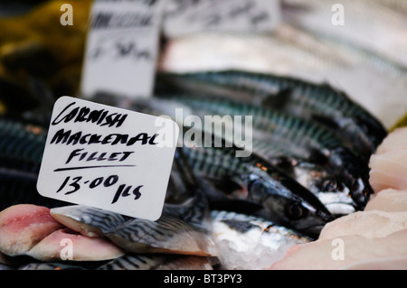 Cornish sgombro su un pescivendolo stallo a Borough Market, Southwark London, England, Regno Unito Foto Stock
