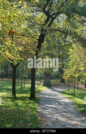 Sentiero forestale attraverso il colorato paesaggio autunnale Foto Stock